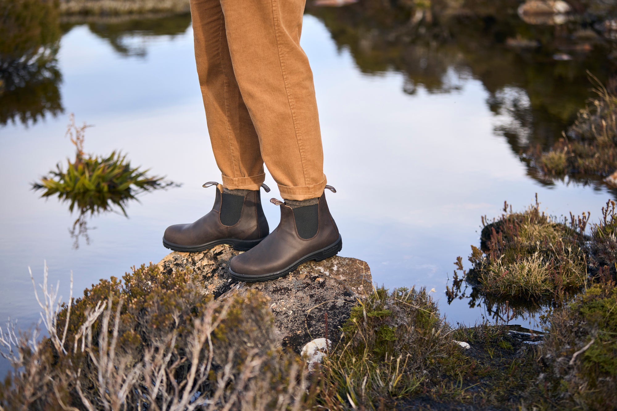 Blundstone Classics 2340 Brown - keks.