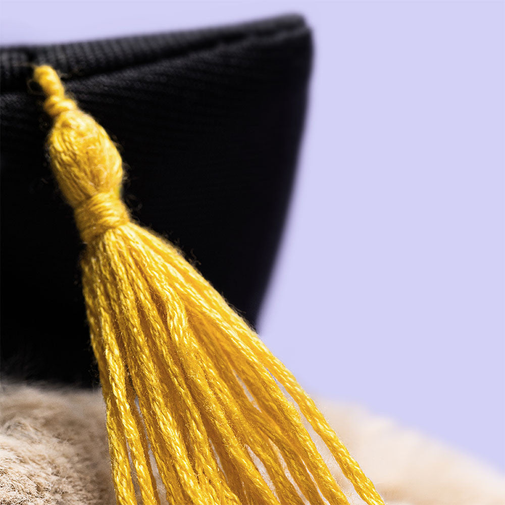 Detailaufnahme vom Graduation-Hut mit gelber Quaste des beigen Jellycat Bashful Hasen