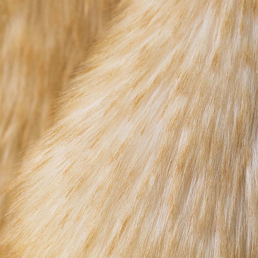 Detailaufnahme des Fells von Springlowe Luxe Bunny: langes cremefarbenes Fell mit hellbraunen Spitzen