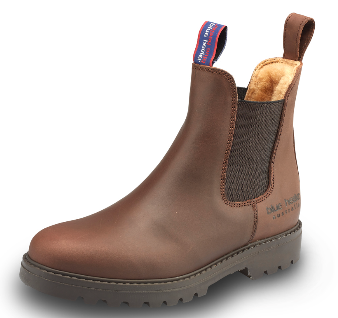Blue heeler top boots jackaroo